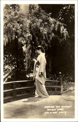 Japanese Tea Garden, Balboa Park