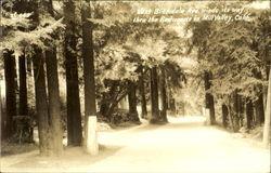 West Blithdale Ave