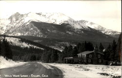 Wild Wood Lodge