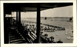 Looking Out From The Grand Stand
