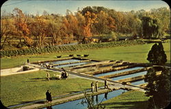 The Fish Hatchery The Fish Hatchery