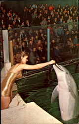 Aquarium Theatre Of The Sea