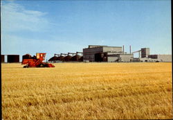 Potash In Saskatchewan