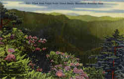 View from Pulpit Point