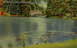 Pond and Bridge Elizabeth Park
