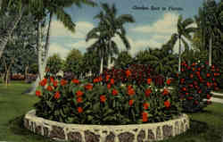 Previous Card