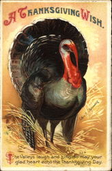 A Thanksgiving Wish