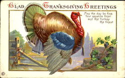 Glad Thanksgiving Greetings