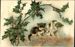 Previous Card
