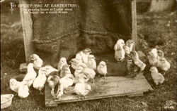 To Greet You At Eastertide