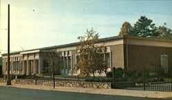 Henderson County Public Library, 301 North Washington St