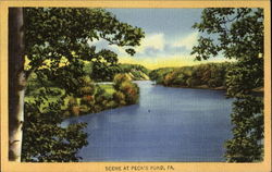 Scene At Peck's Pond Scene At Peck's Pond