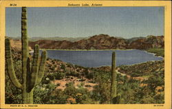 Sahuaro Lake