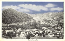 Somerfield