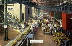 Unloading Bananas