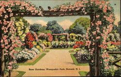 Rose Gardens, Weequahic Park