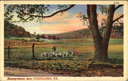 Beauty Scene Near Charleroi