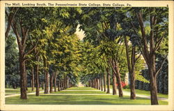 The Mall Looking South, The Pennsylvania State College