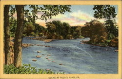 Scene At Peck's Pond