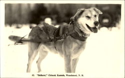 Previous Card