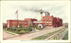 The Home Of Kellogg's Toasted Corn Flakes The Home Of Kellogg's Toasted Corn Flakes