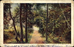 Previous Card