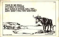 This is No Bull