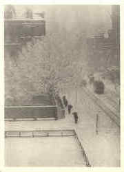 Snapshop from my Window New York 1901