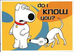 Family Guy - Brian, Do I know You?