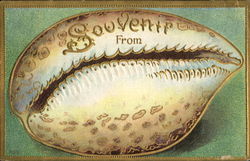 Shell Souvenir From