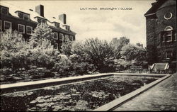 Lily Pond, Brooklyn College Lily Pond, Brooklyn College