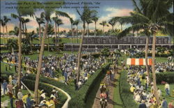 Gulfstream Park Hallandale, FL Postcard Postcard