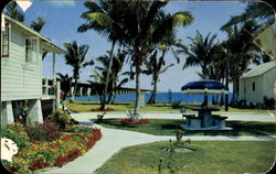 Beautiful Pigeon Key Beautiful Pigeon Key