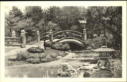 Japanese Garden