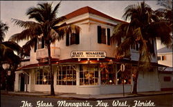 The Glass Menagerie The Glass Menagerie