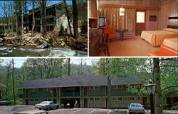 Carr's Northside Cottages & Motel, Fronting Roaring Fork Creek Carr's Northside Cottages & Motel, Fronting Roaring Fork Creek