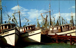 Shrimp Fleet In Key West Shrimp Fleet In Key West