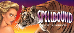 Spellbound
