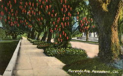 Marengo Ave
