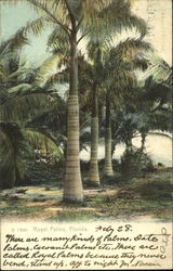 Previous Card
