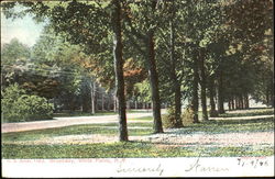 Previous Card