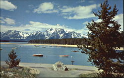 Previous Card