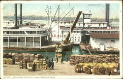 Unloading Cotton At Levee Unloading Cotton At Levee