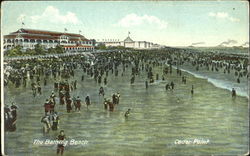 The Bathing Beach Cedar Point, OH Postcard Postcard