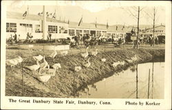 The Great Danbury State Fair The Great Danbury State Fair