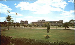 University Of Massachusetts