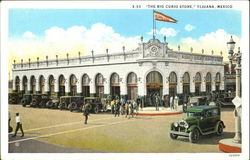 The Big Curio Store