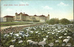 Hotel Potter Hotel Potter