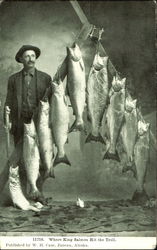Where King Salmon Hit The Troll