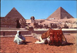 Giza - The Sphinx And The Pyramids